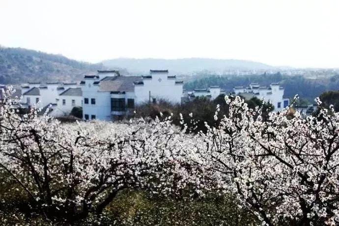 英雄之战中文版